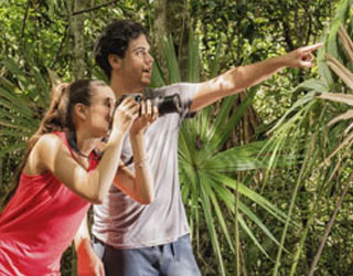 Image is not available