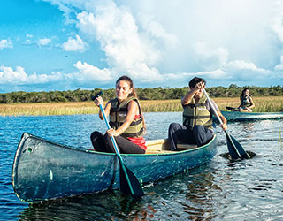 Image is not available